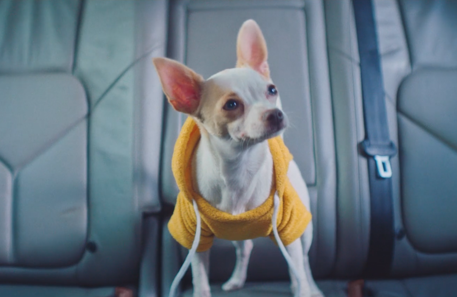 Case de sucesso Youse Content Lab